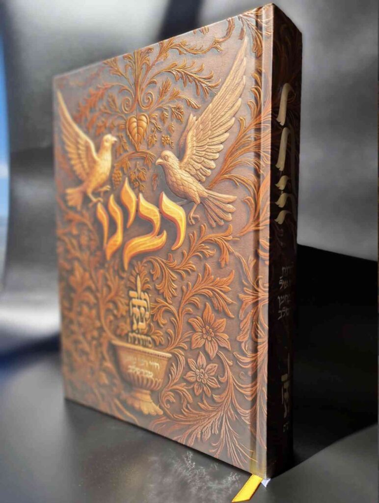 רבינו